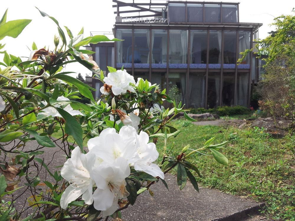 לינה וארוחת בוקר דאטונג Hao Wang Jiao House מראה חיצוני תמונה